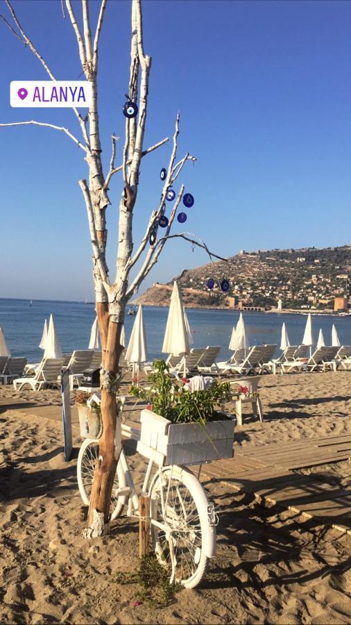 Respect Apart Otel Alanya Zewnętrze zdjęcie